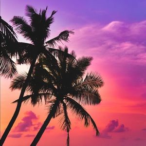 Meet your Posher, Ben